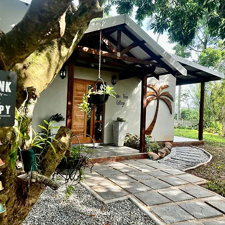 Palm Tree Cottage Felixton Richards Bay Exterior photo