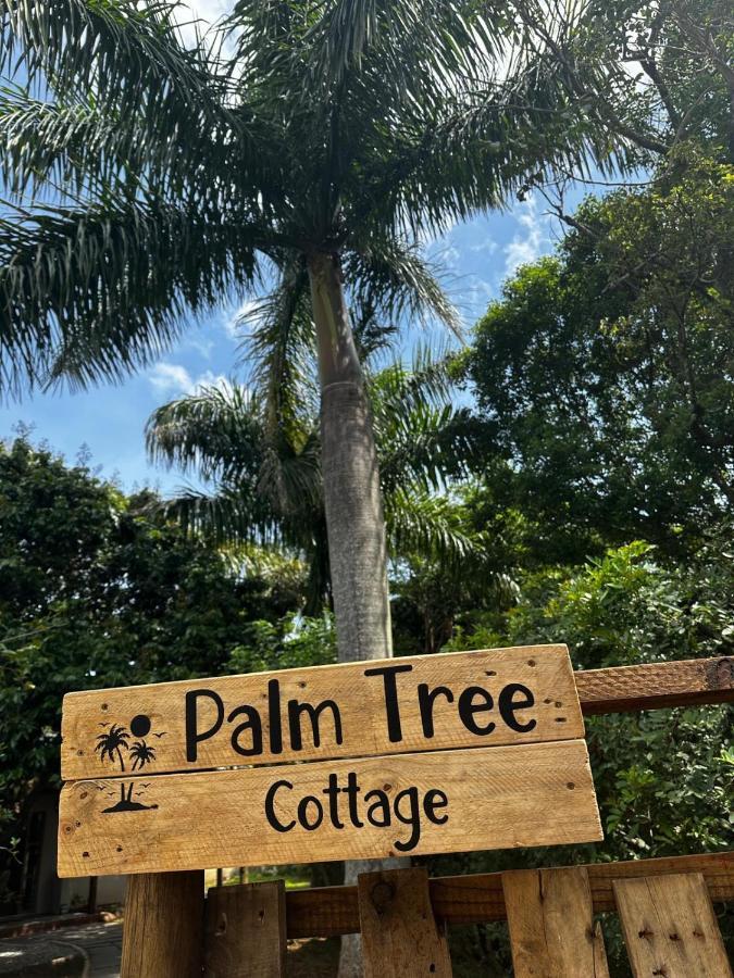 Palm Tree Felixton *